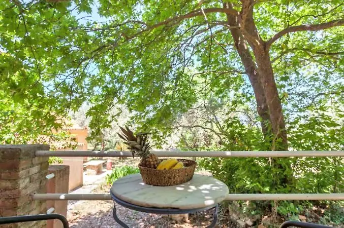 Charming Pink Case de vacanță